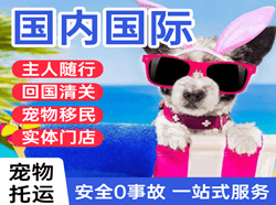 郑州新郑机场物流国际宠物托运 【国